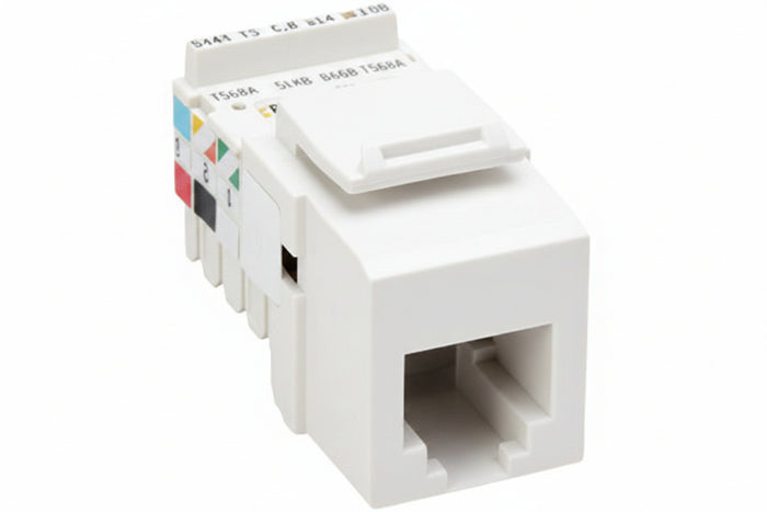 Leviton 41106-RW6 Voice Grade QuickPort Connector, 6P6C, White