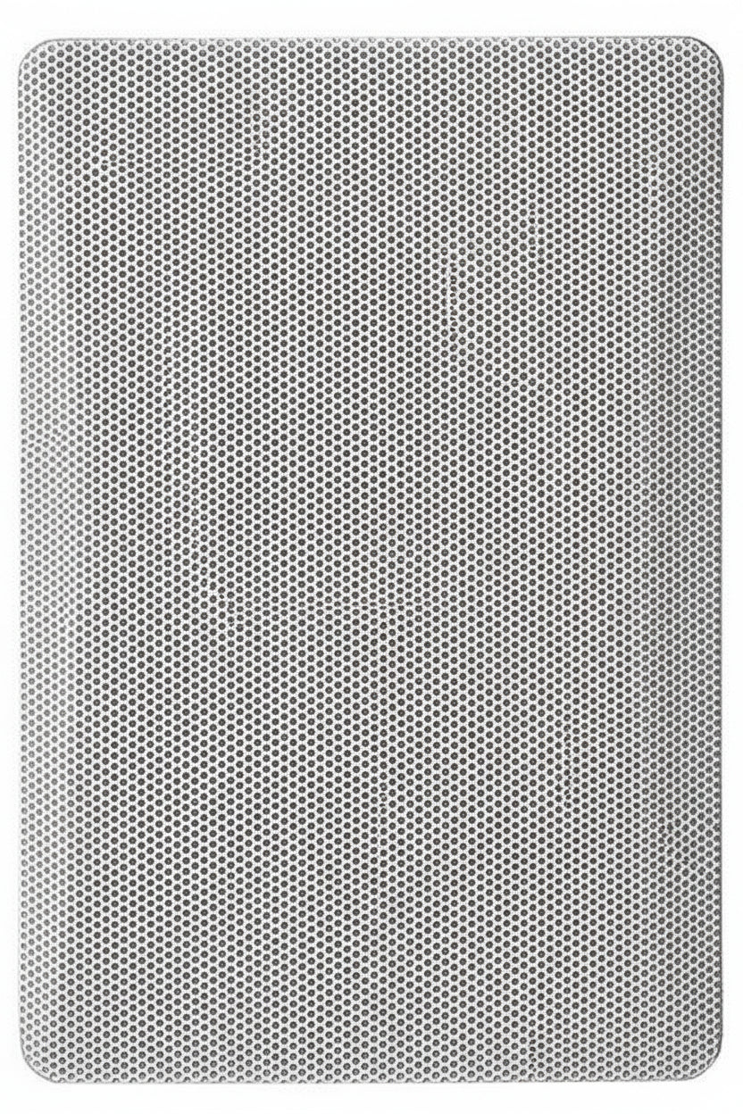 JBL Professional MTC-25WMG-1 WeatherMax Harsh Environments Replacement Grille for Control 25-1 and 25-1L, Black
