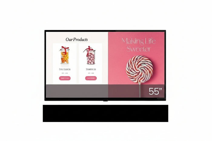AVARRO V2-P55ES 55" Pro E Series 4K Ultra HD LED Commercial Display